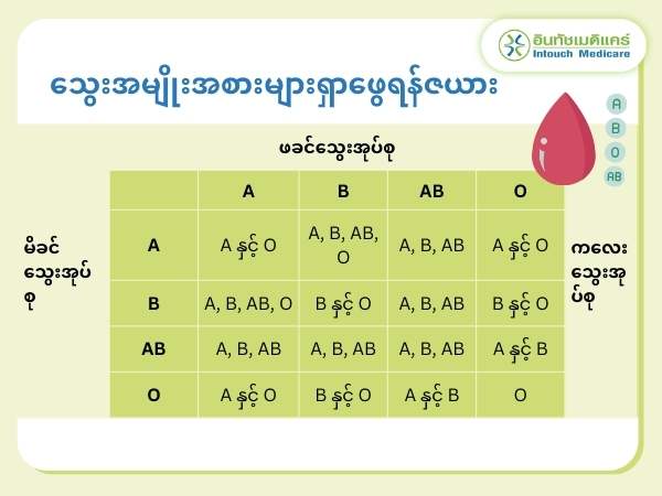 သွေးအမျိုးအစားများရှာဖွေရန်ဇယား.